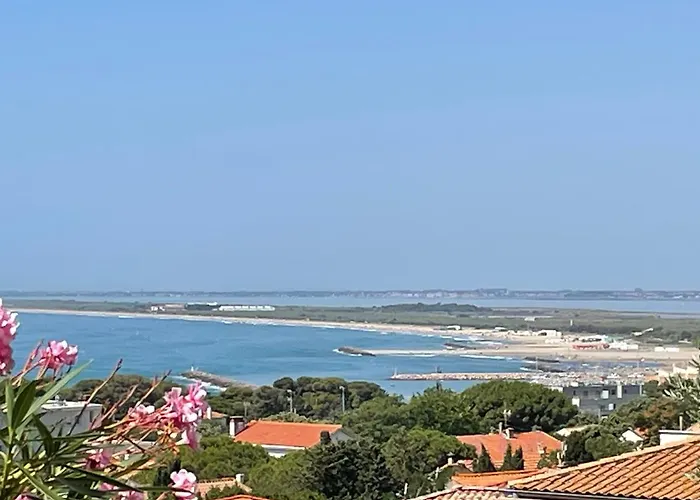 Villa L\' Oliviera, Vue Mer Et Plages A Pieds